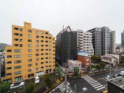 View from the property