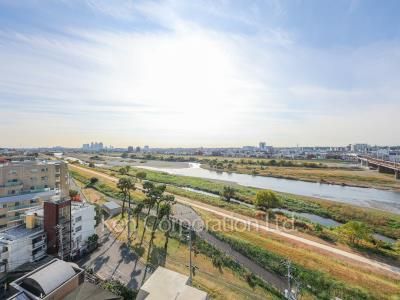 View from the property