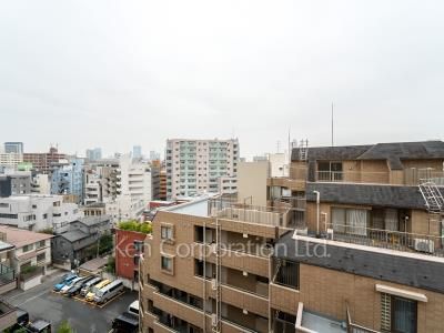 View from the property