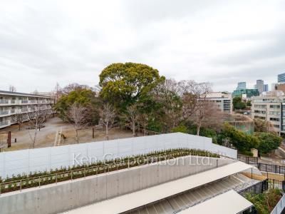 View from the property