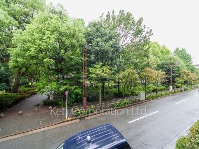 View from the property