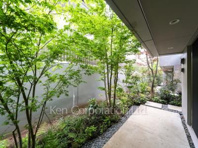 Private yard/Garden