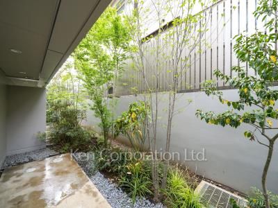 Private yard/Garden