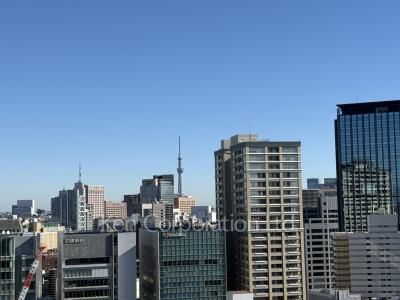 View from the property