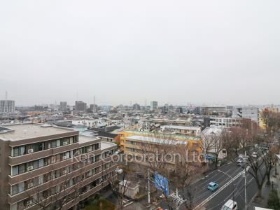 View from the property
