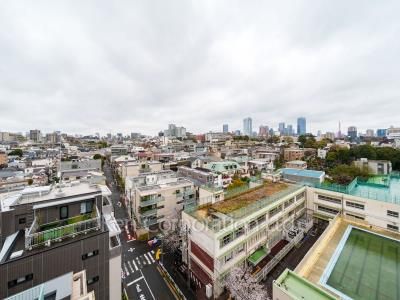 View from the property