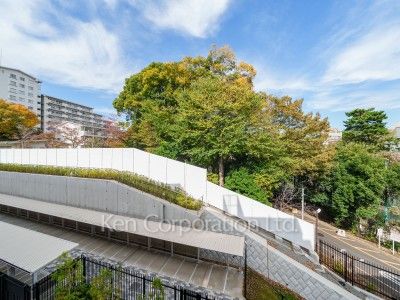 View from the property