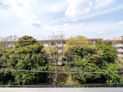 View from the property