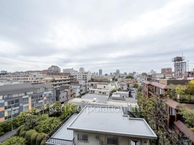 View from the property