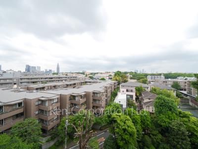 View from the property