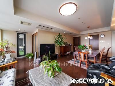 Living-Dining