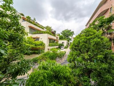View from the property