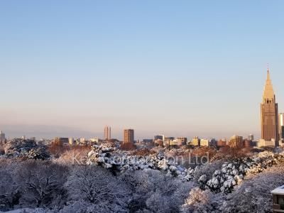 View from the property