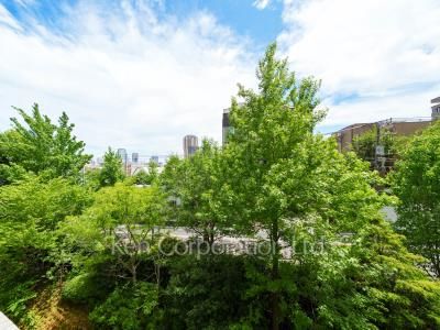 View from the property