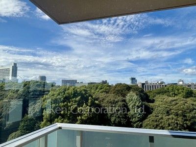 View from the property