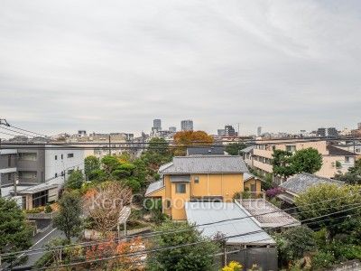 View from the property