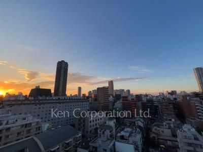 View from the property