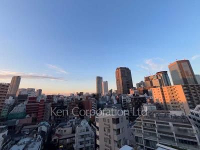 View from the property