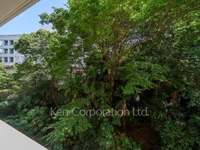 View from the property