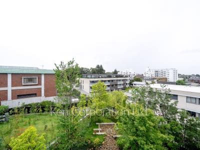 View from the property