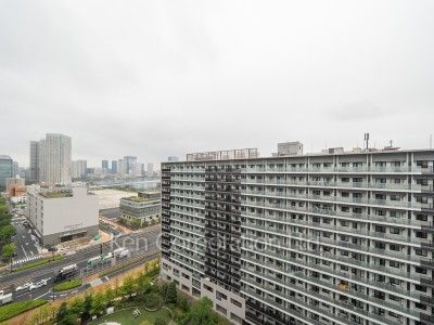 View from the property