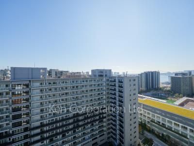 View from the property