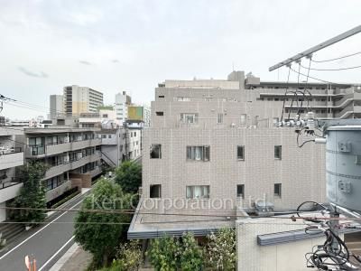 View from the property