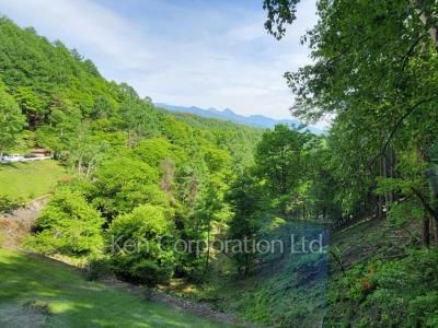 View from the property