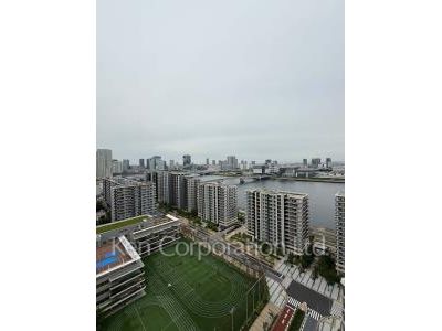 View from the property