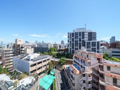 View from the property