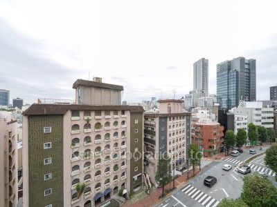 View from the property