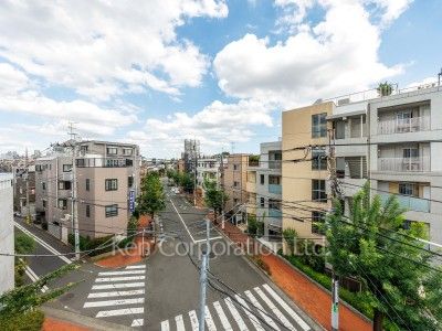 View from the property