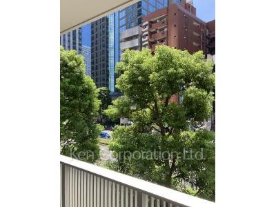 View from the property