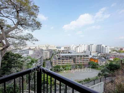 View from the property