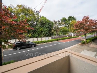 View from the property