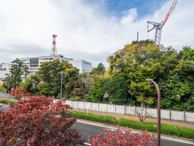 View from the property