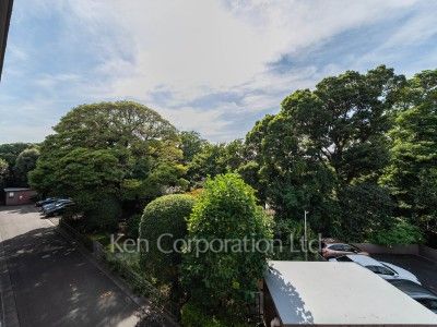 View from the property