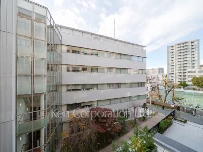 View from the property