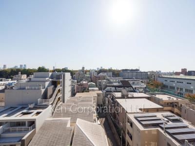 View from the property