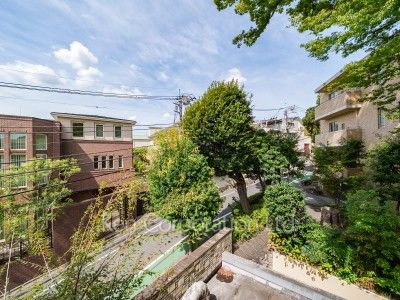 View from the property