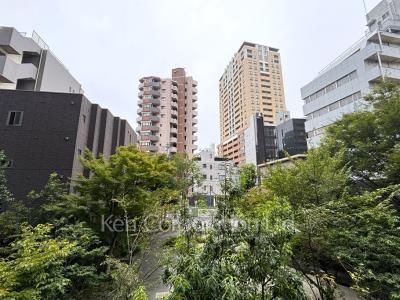 View from the property