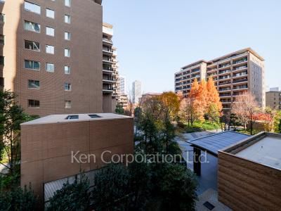 View from the property