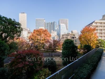 View from the property