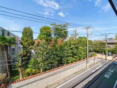 View from the property