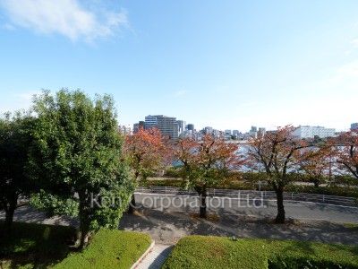 View from the property