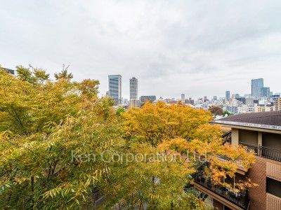 View from the property
