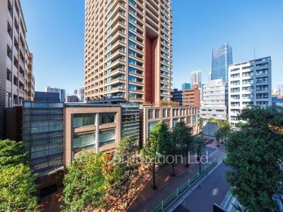 View from the property