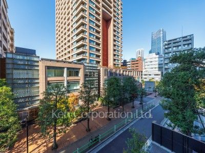 View from the property