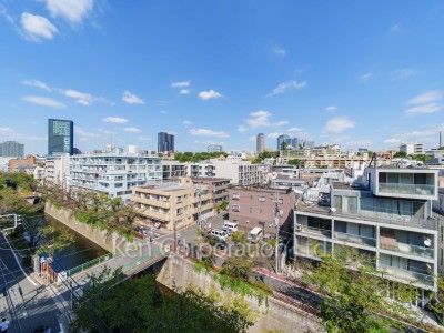 View from the property