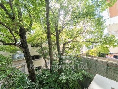 View from the property